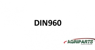 DIN960